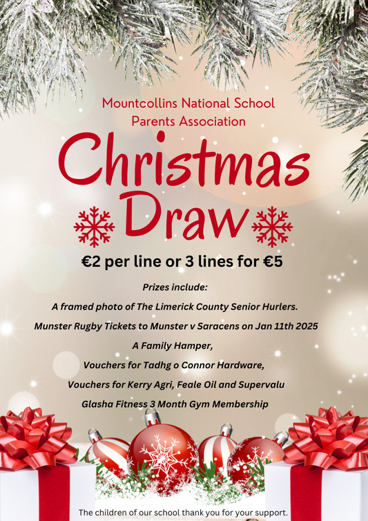 Mountcollins NS Christmas Draw 2024